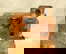 item-209351104=2
