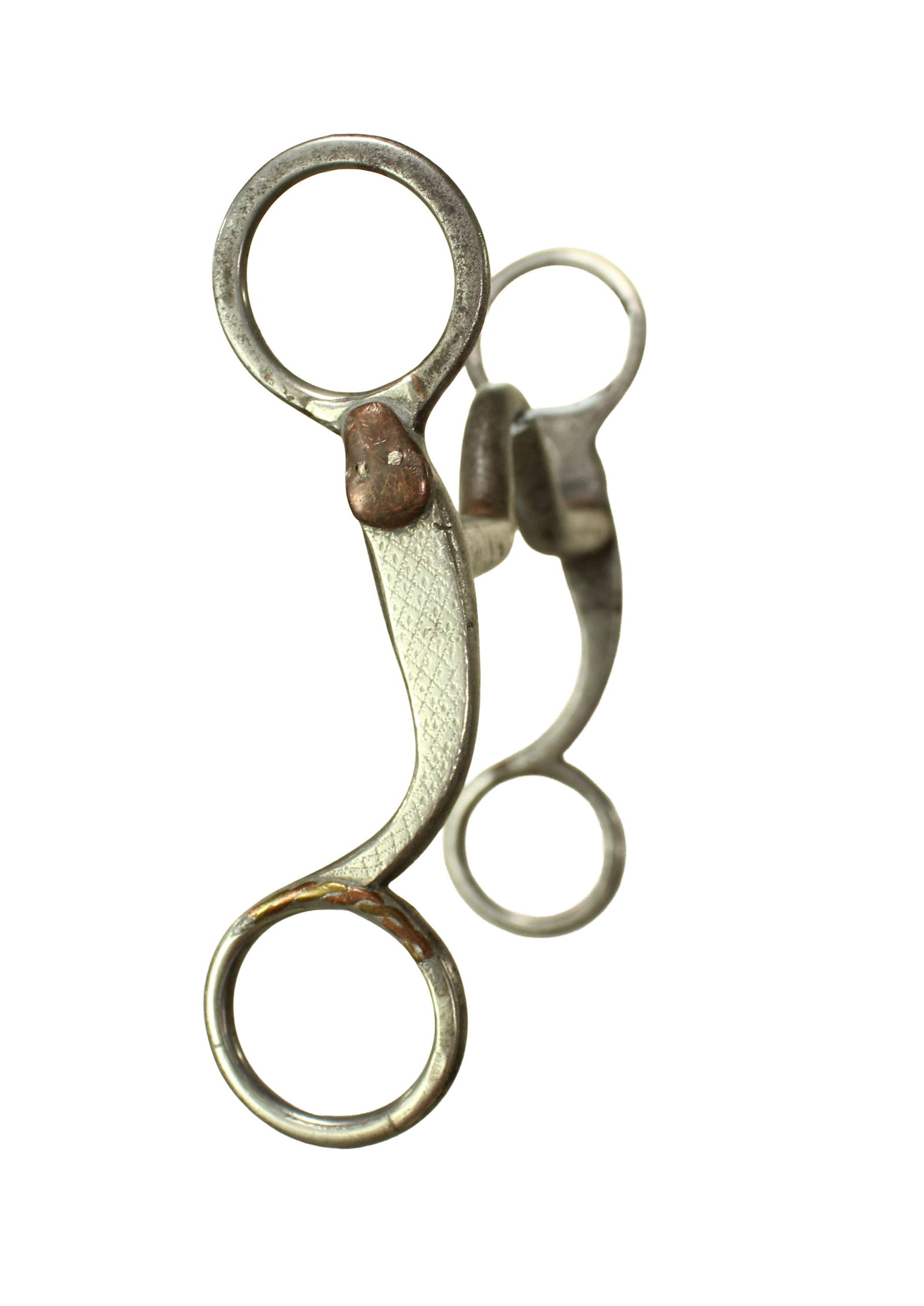 McChesney Snake Bit (1 of 1)