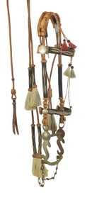 An appealing hitched horsehair bridle with black background, complimented with a combination of