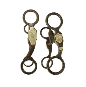 A pair of desirable Texas style iron bits with good patterns.