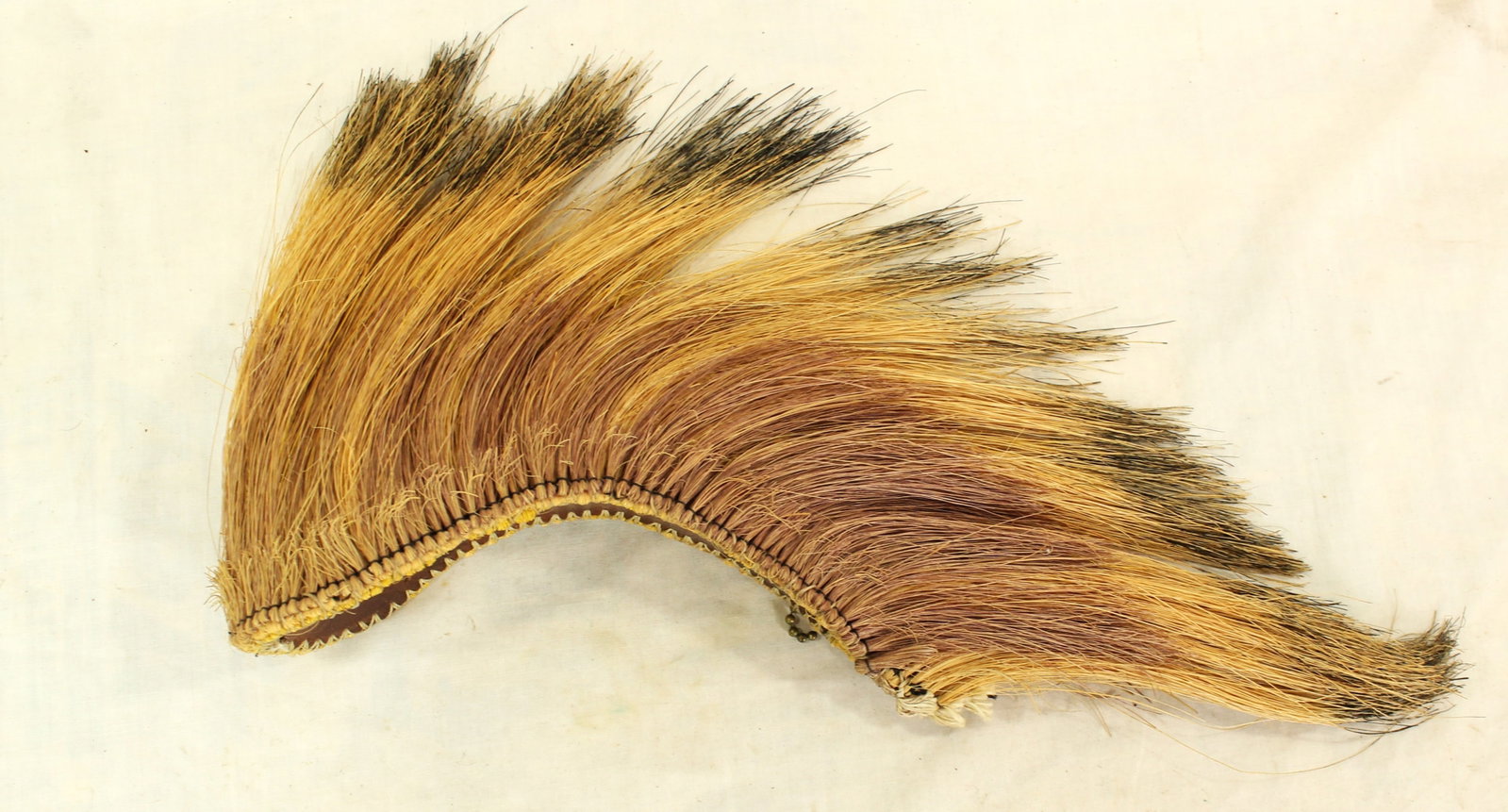 Plains Indian Roach - 2