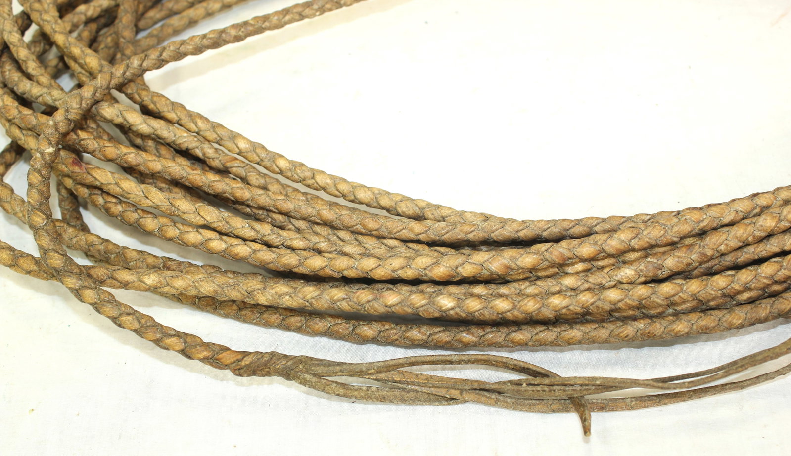 Rawhide Reata - 3