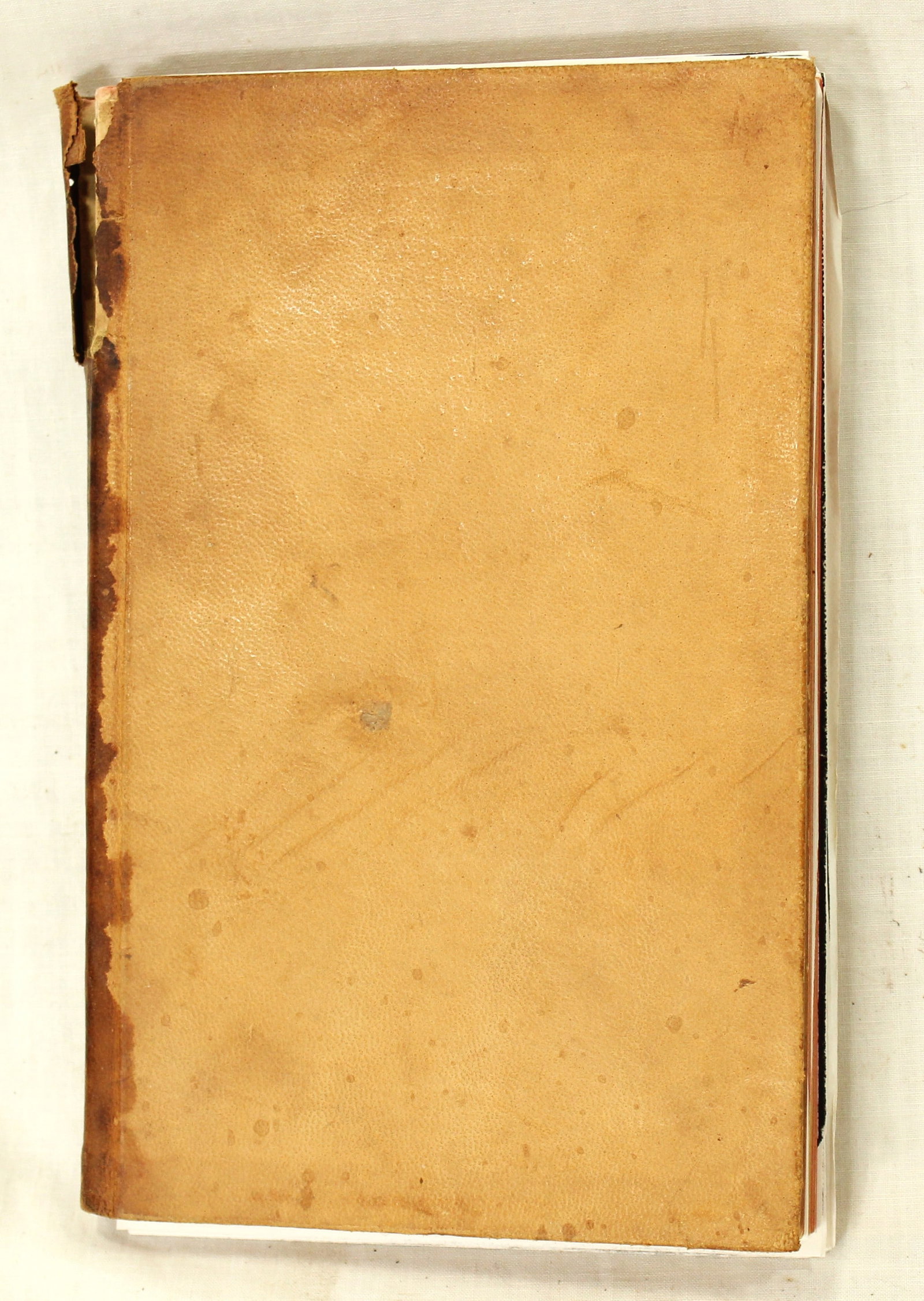1883 Wyoming Brand Book (1 of 2)