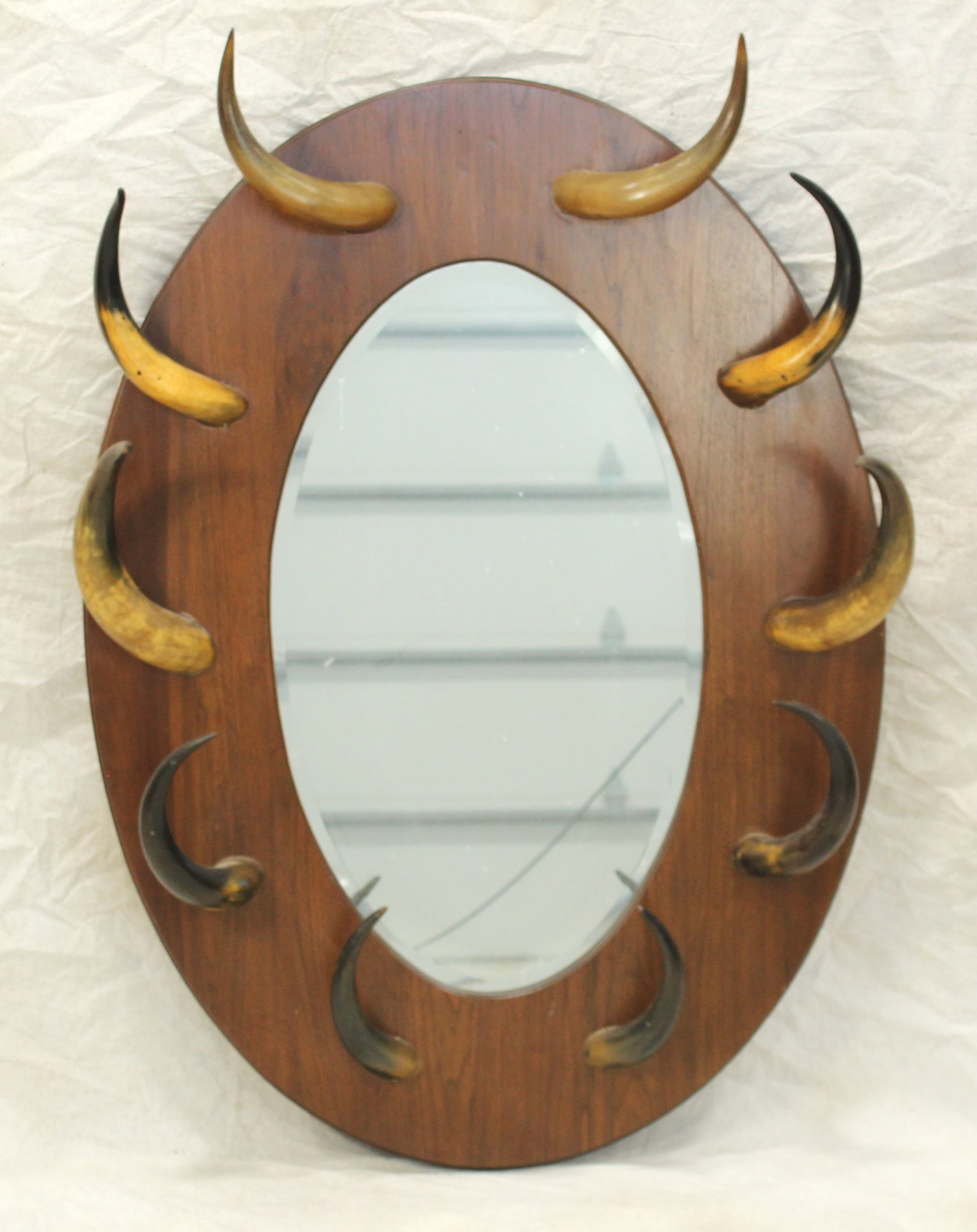 Longhorn Mirror (1 of 1)