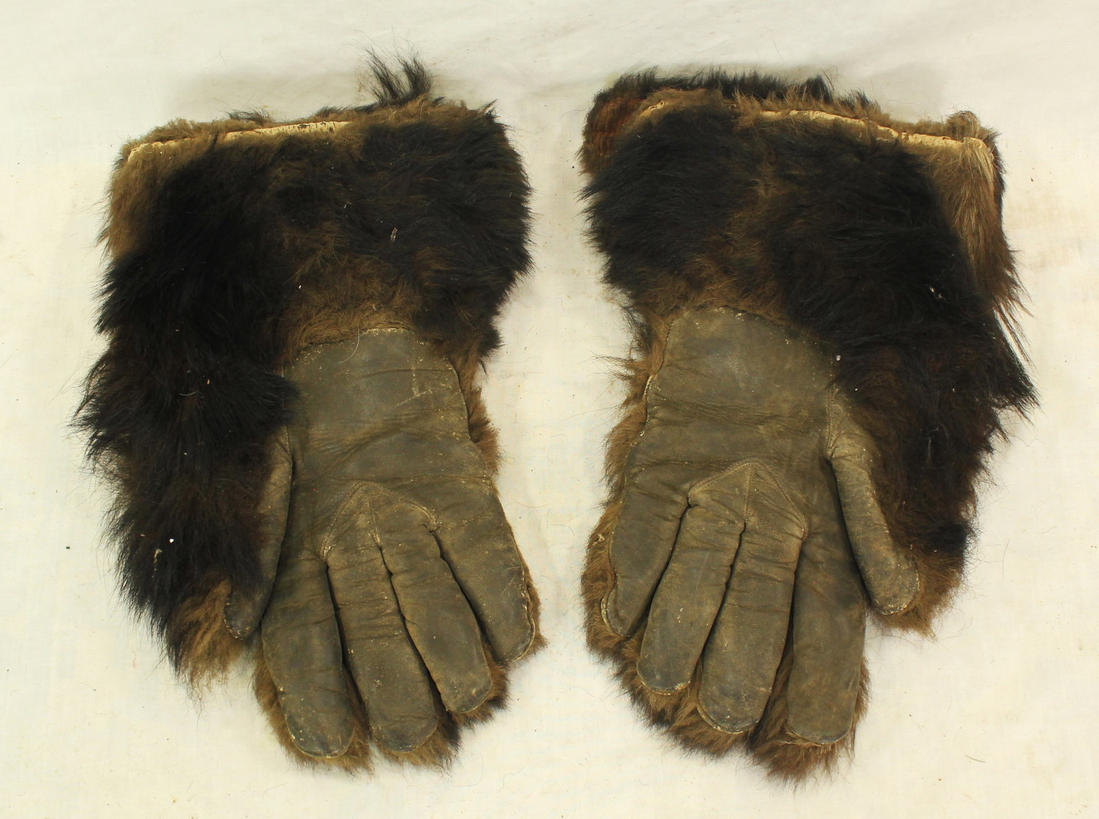 Bearhide Gloves - 2