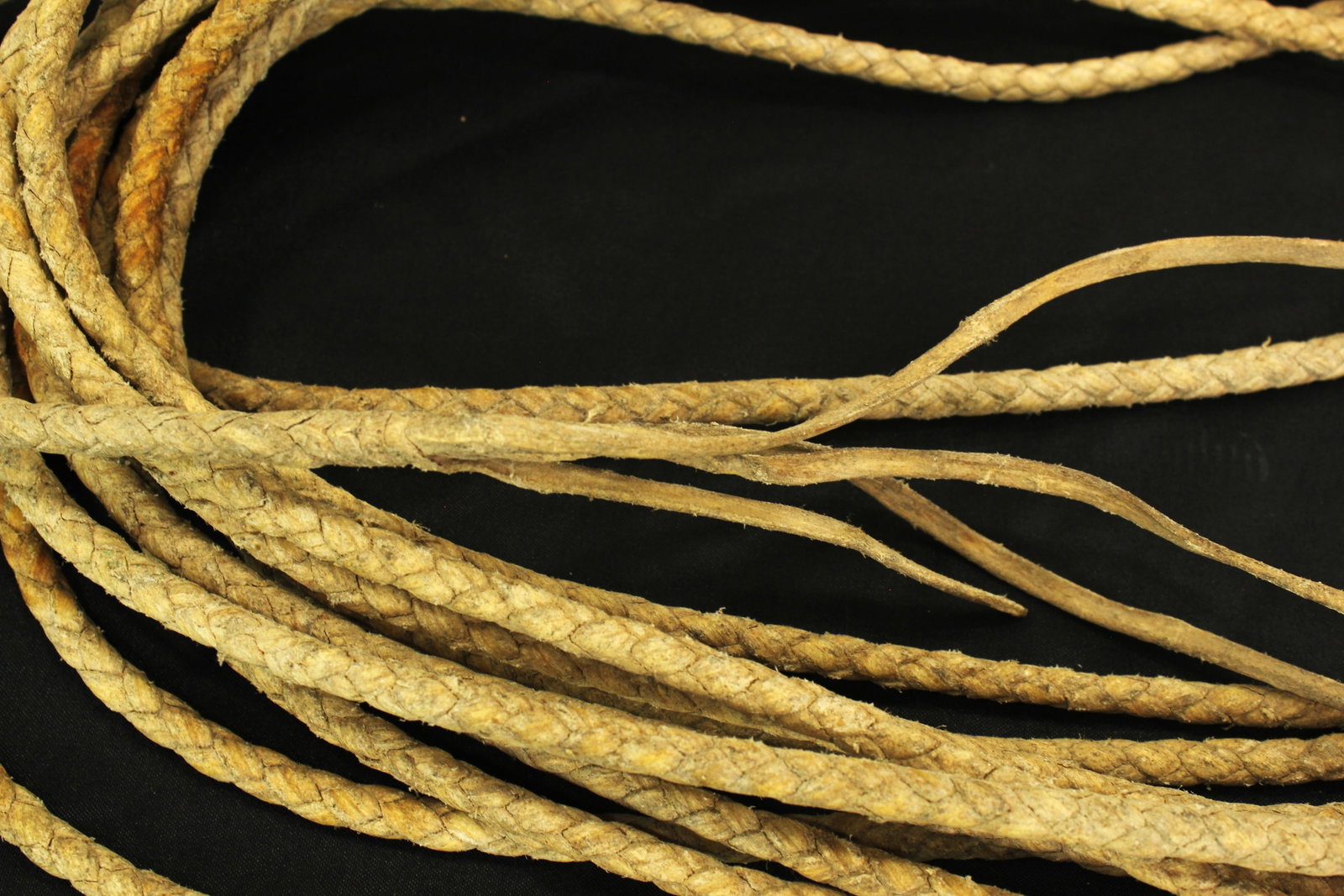 Rawhide Riata - 3