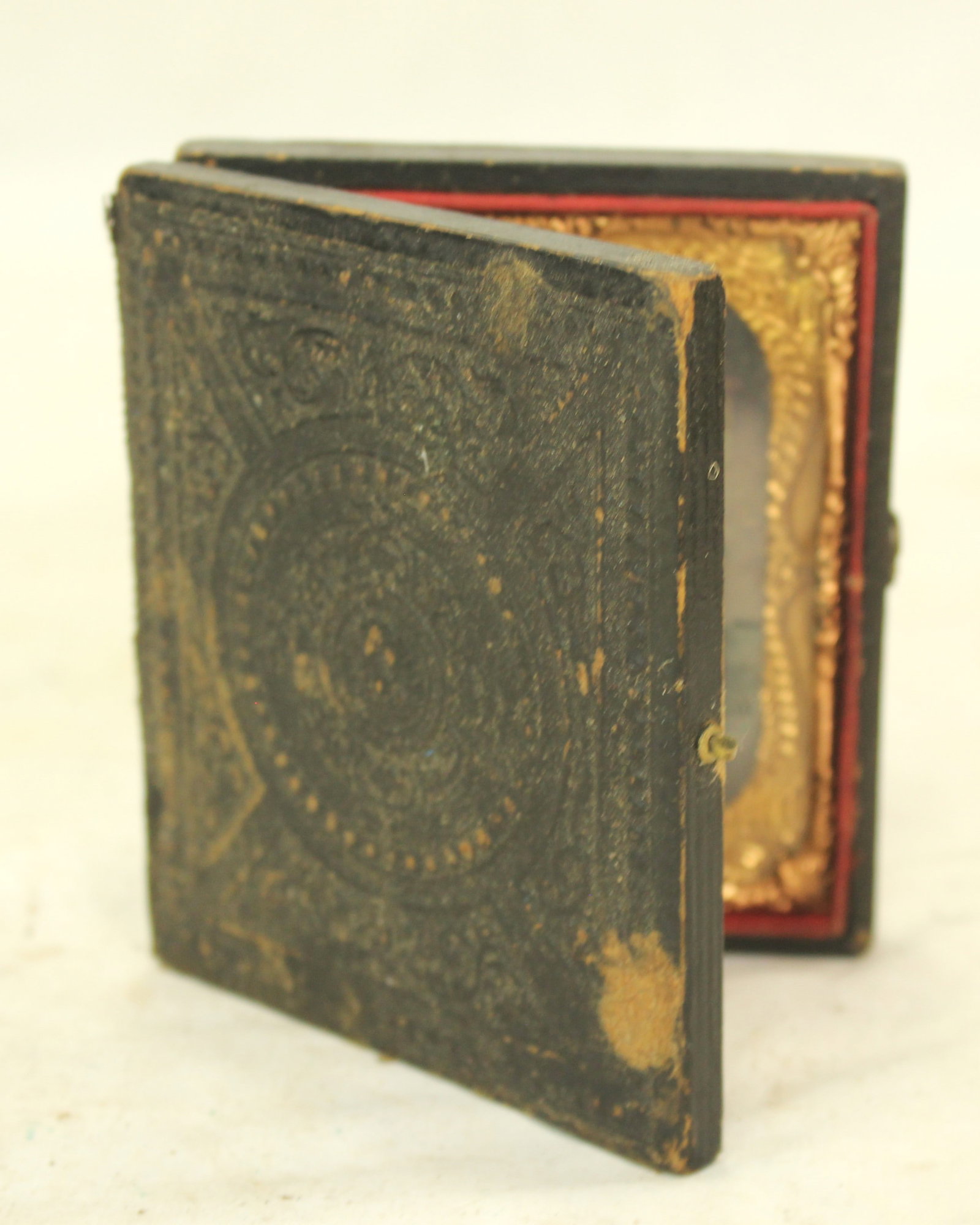 Desirable Early CDV - 3