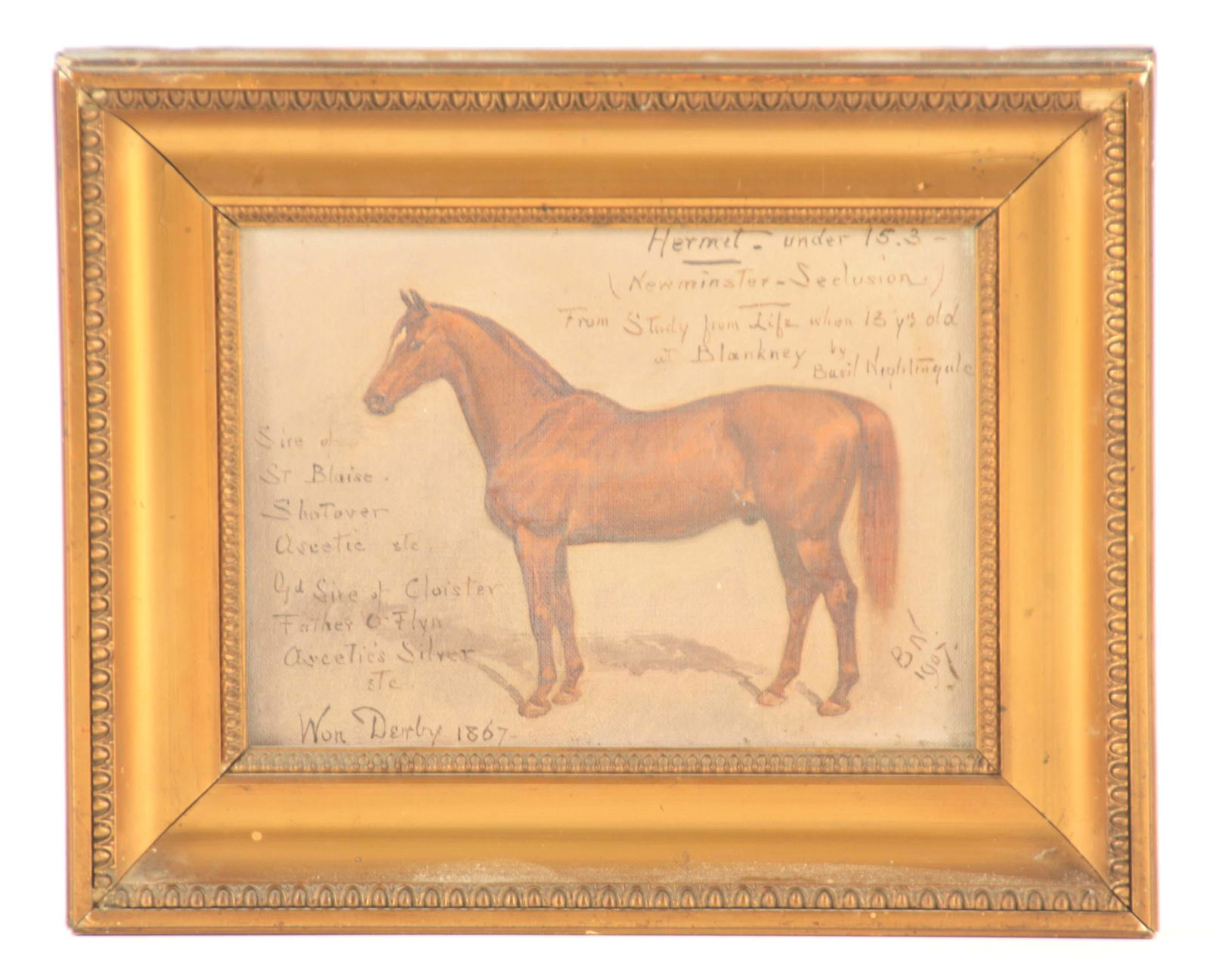 BASIL KNIGHTINGALE 1864-1940. OIL ON CANVAS. Study of a (1 of 1)