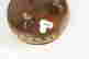 item-114092807=5