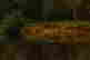 item-121488070=3