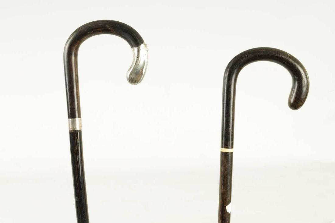 TWO LATE 19TH CENTURY SOLID HORN WALKING STICKS (1 of 6)