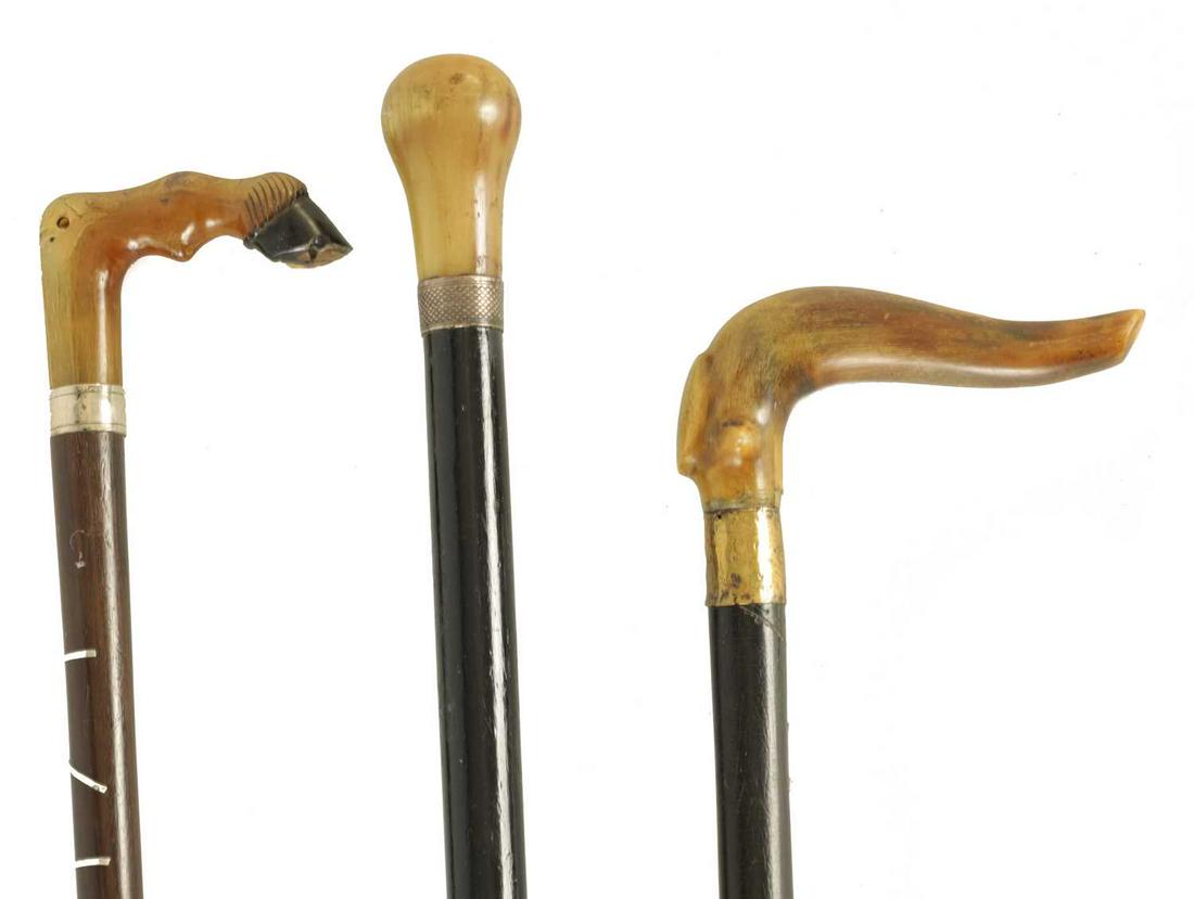 THREE LATE 19TH CENTURY HORN HANDLED WALKING STICKS (1 of 5)