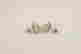 item-127771900=4