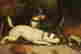 item-128007243=2