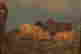 item-128007244=2