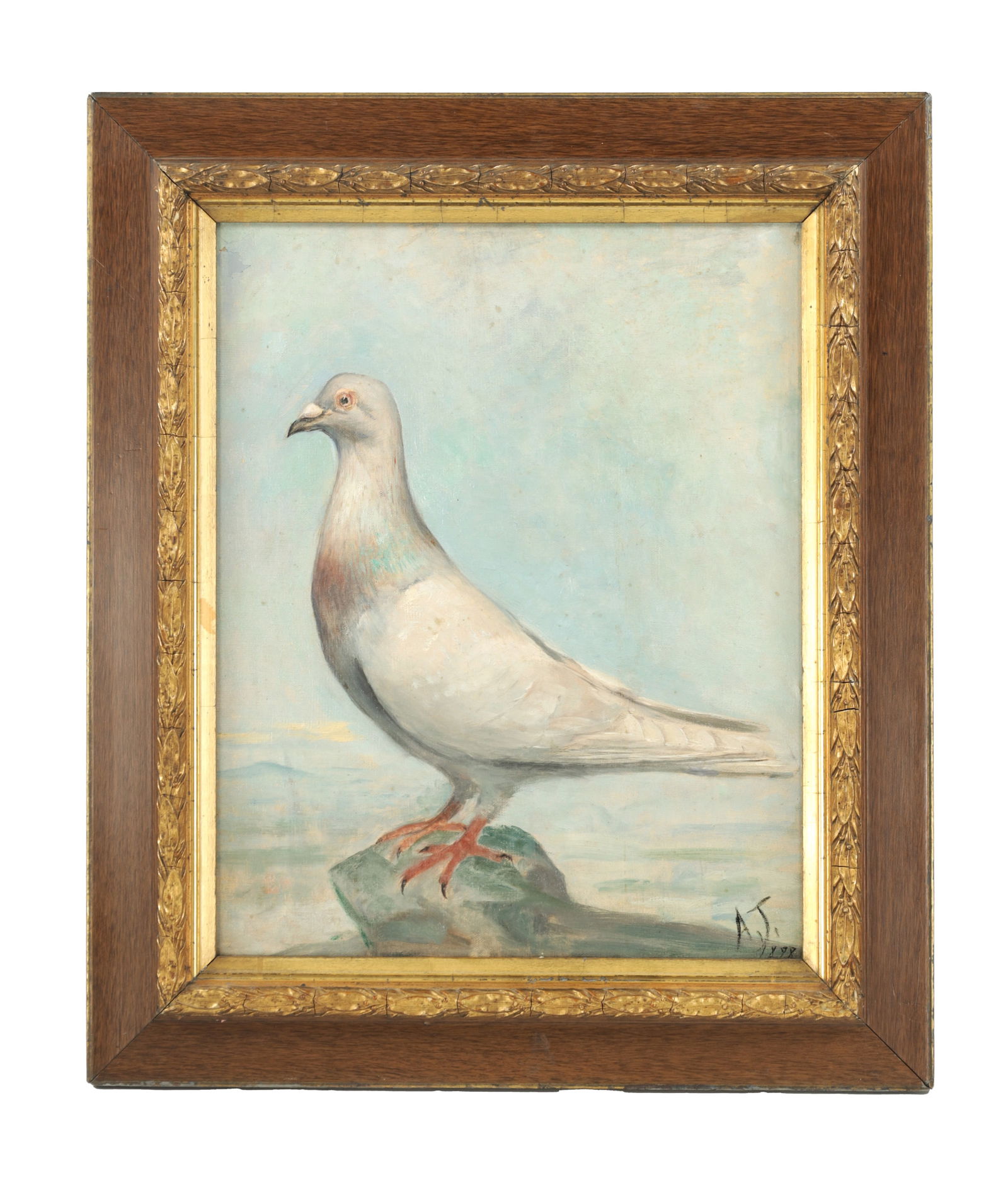 A 19TH CENTURY OIL ON CANVAS PORTRAIT OF A RACING PIGEON (1 of 5)