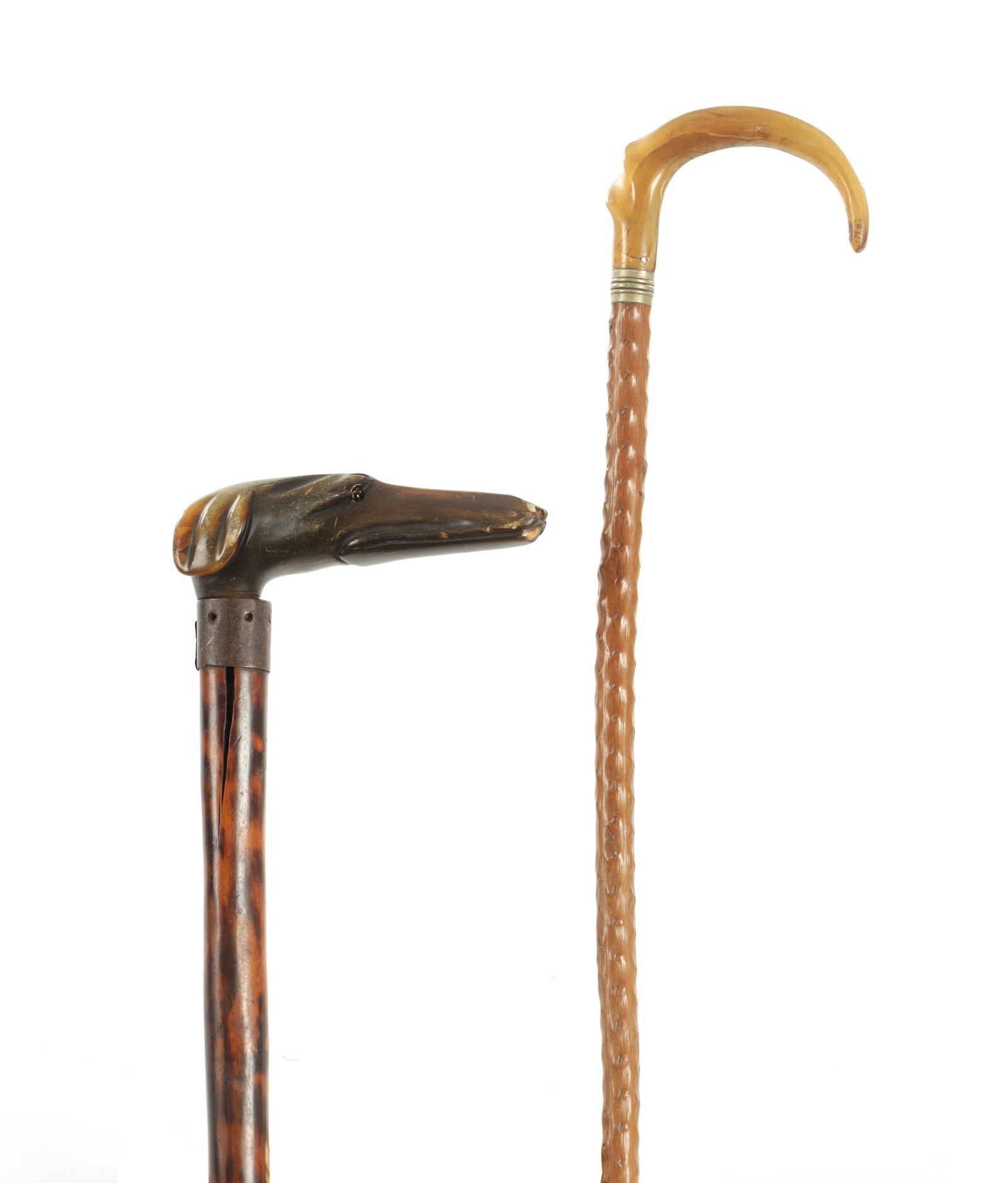 A 19TH CENTURY CARVED DOG'S HEAD HORN HANDLED WALKING STICK (1 of 9)