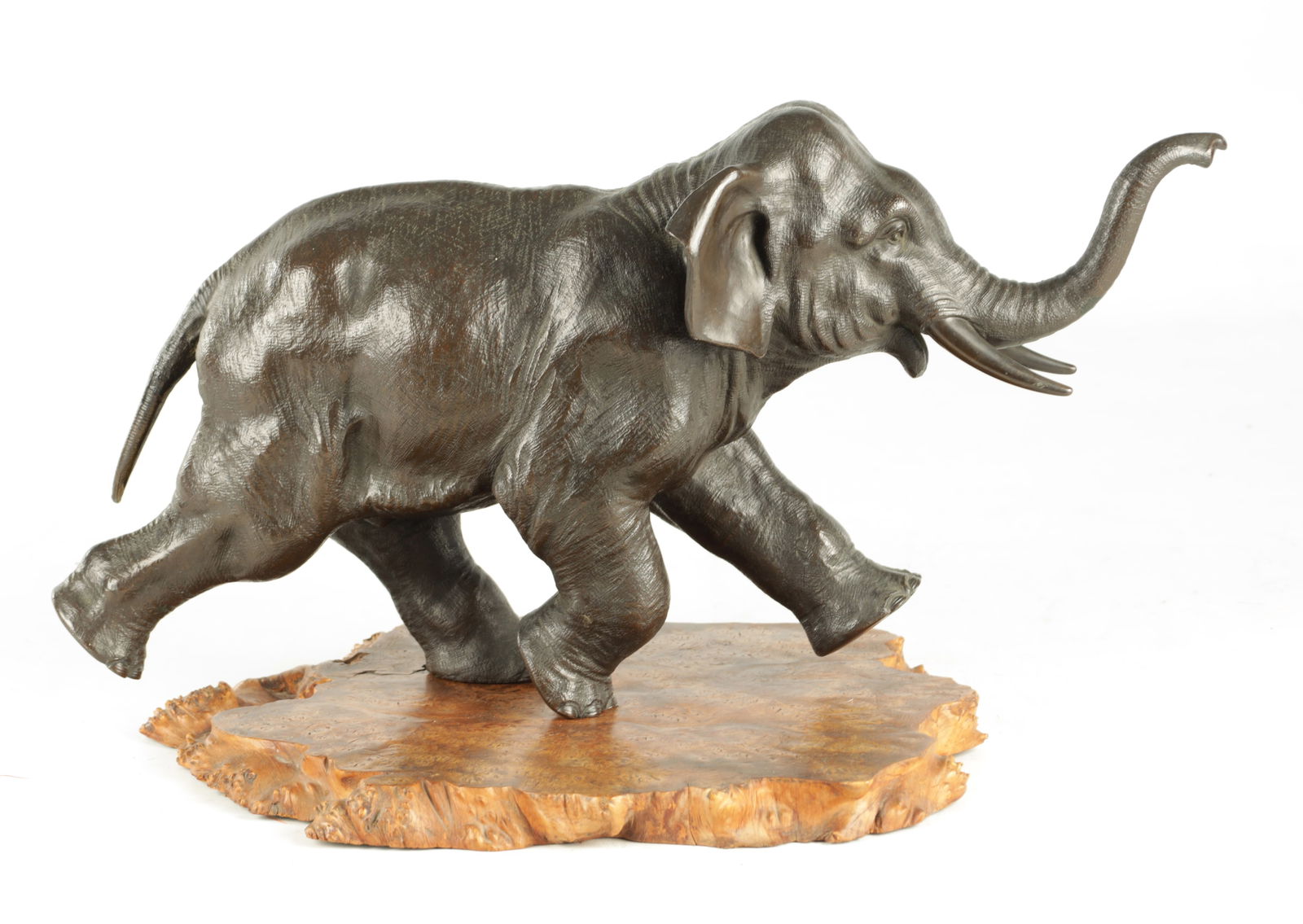 A LATE 19TH CENTURY JAPANESE MEIJI PERIOD BRONZE SCULPTURE: A LATE 19TH CENTURY JAPANESE MEIJI PERIOD BRONZE SCULPTURE realistically modelled Elephant in a stampeding pose - signature seal mark beneath and standing on a burr wood base. (50cm wide, 25cm high )