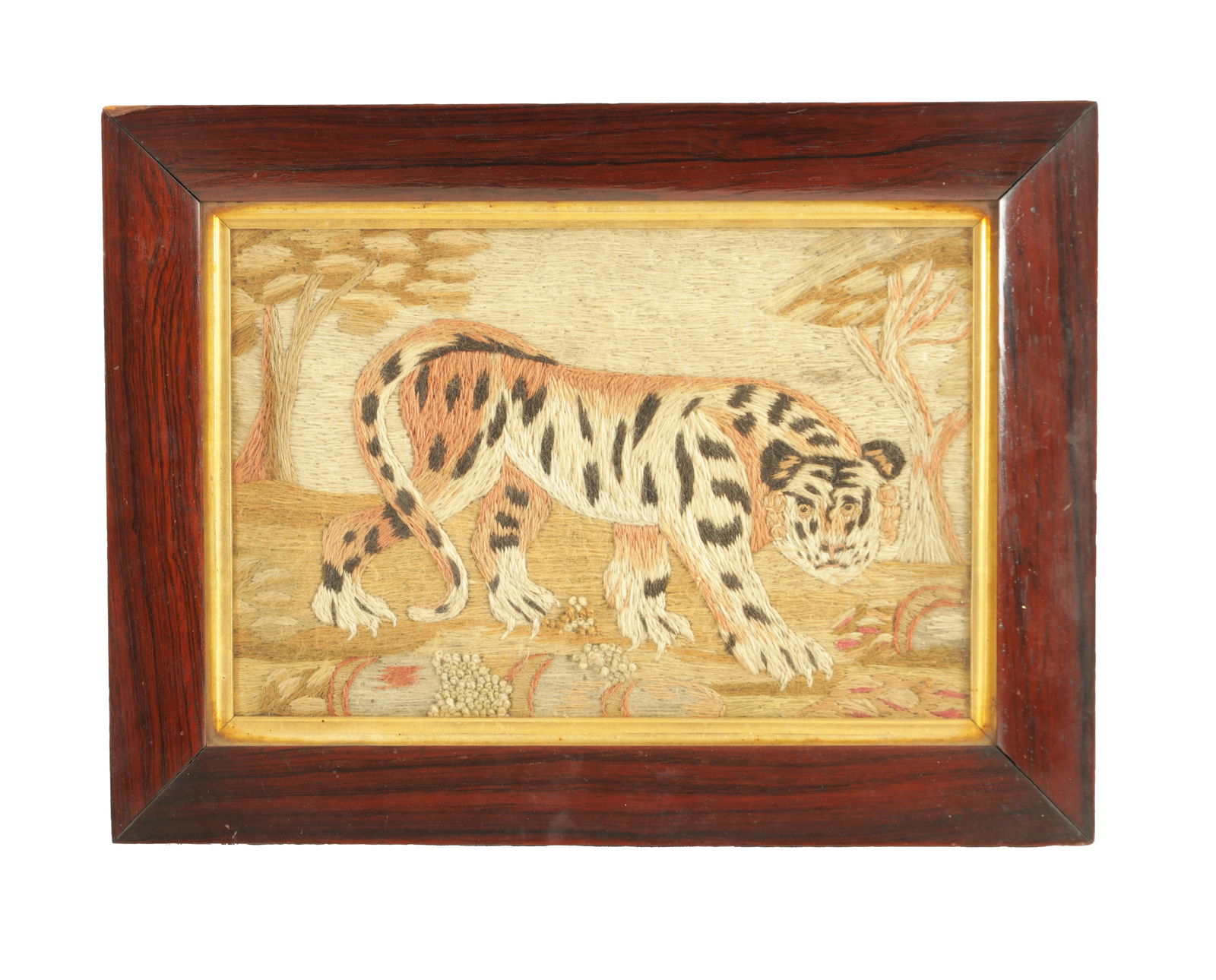 A GOOD 19TH CENTURY EMBROIDERED WOOL WORK PICTURE OF A TIGER: A GOOD 19TH CENTURY EMBROIDERED WOOL WORK PICTURE OF A TIGER after a mezzotint by John Murphy who copied a painting by James Northcote - mounted in glazed chamfered rosewood frame. (29cm high 39cm wid