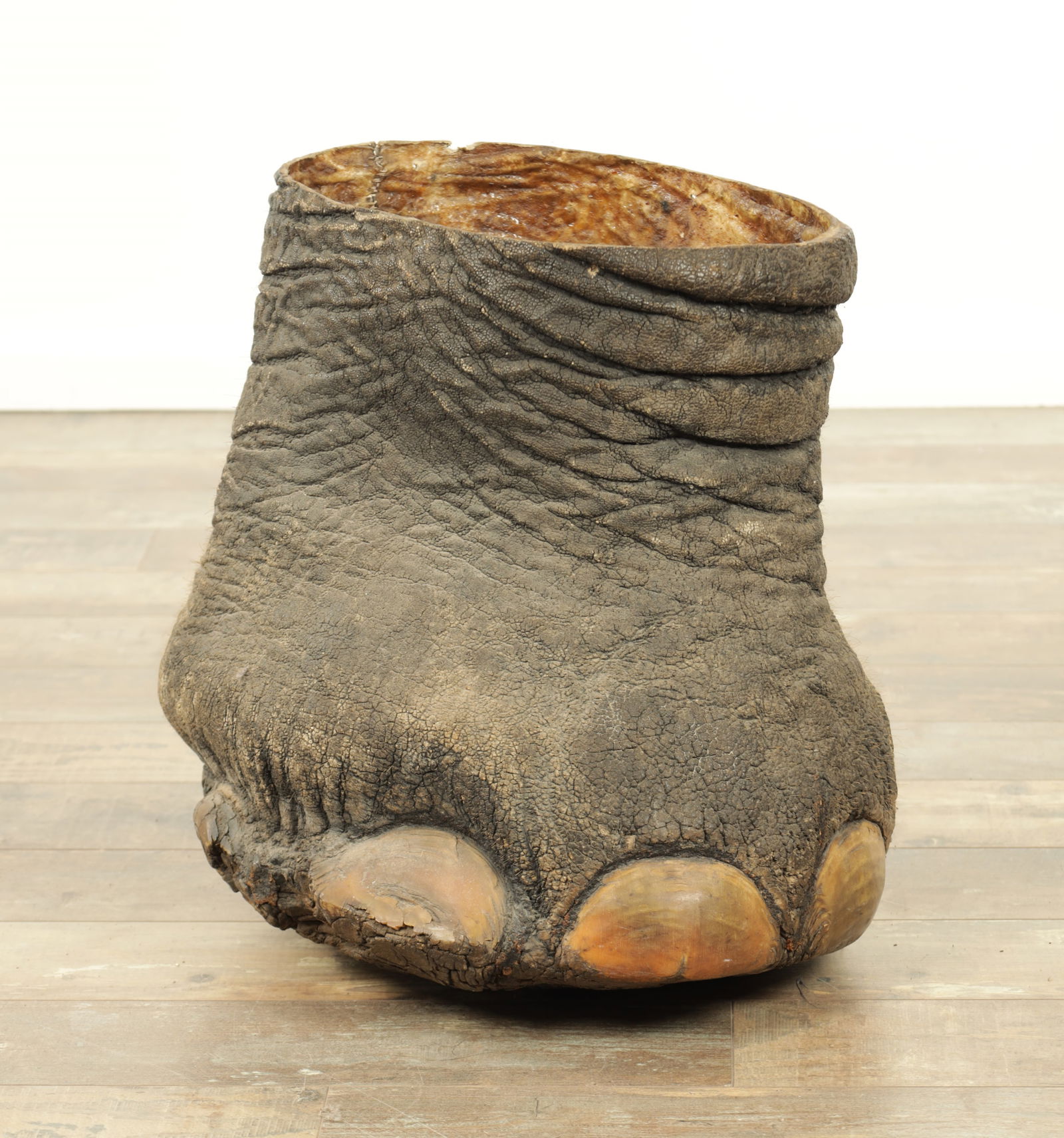 A LARGE LATE 19TH CENTURY TAXIDERMY ELEPHANT FOOTSTOOL (1 of 11)