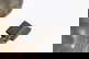 item-209322570=7