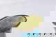 item-209322795=9