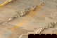 item-209326518=2