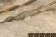 item-209326518=6