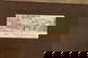item-209326770=4
