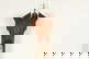 item-209327230=20