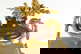 item-209327288=2