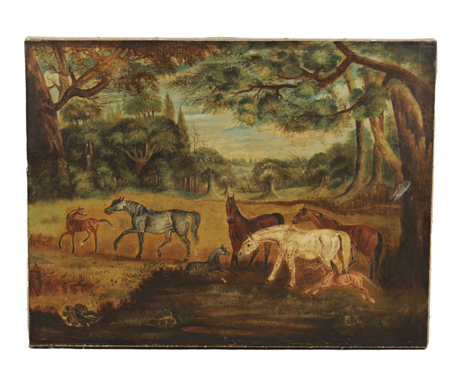 A 19TH CENTURY NAIVE OIL ON CANVAS DEPICTING HORSES IN A WOODED LANDSCAPE: A 19TH CENTURY NAIVE OIL ON CANVAS DEPICTING HORSES IN A WOODED LANDSCAPE - unframed and unsigned (66cm high 86cm wide )