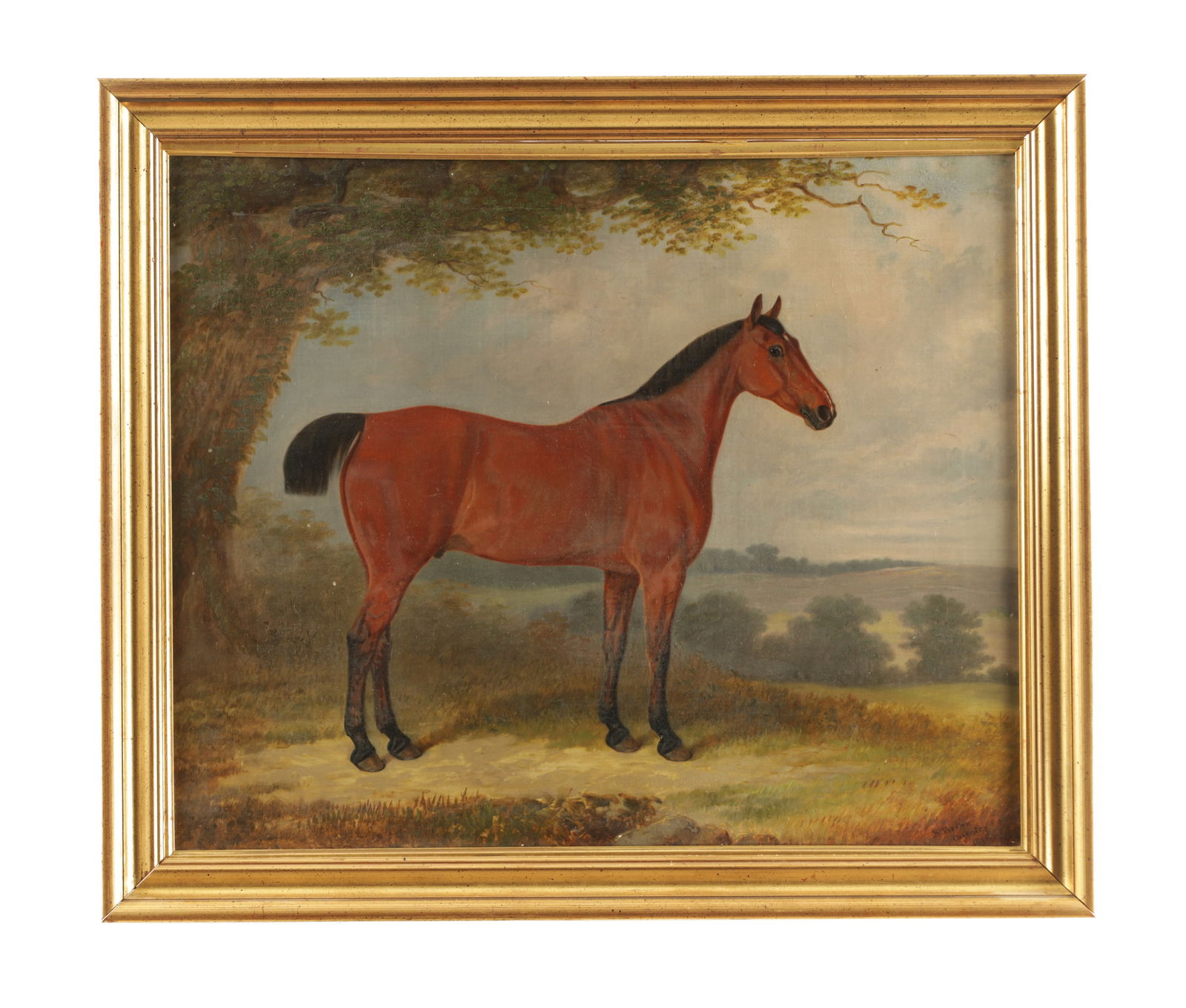 EDWARD BROWN OF COVENTRY (BRITISH 1814 - 1891) OIL ON CANVAS (1 of 8)