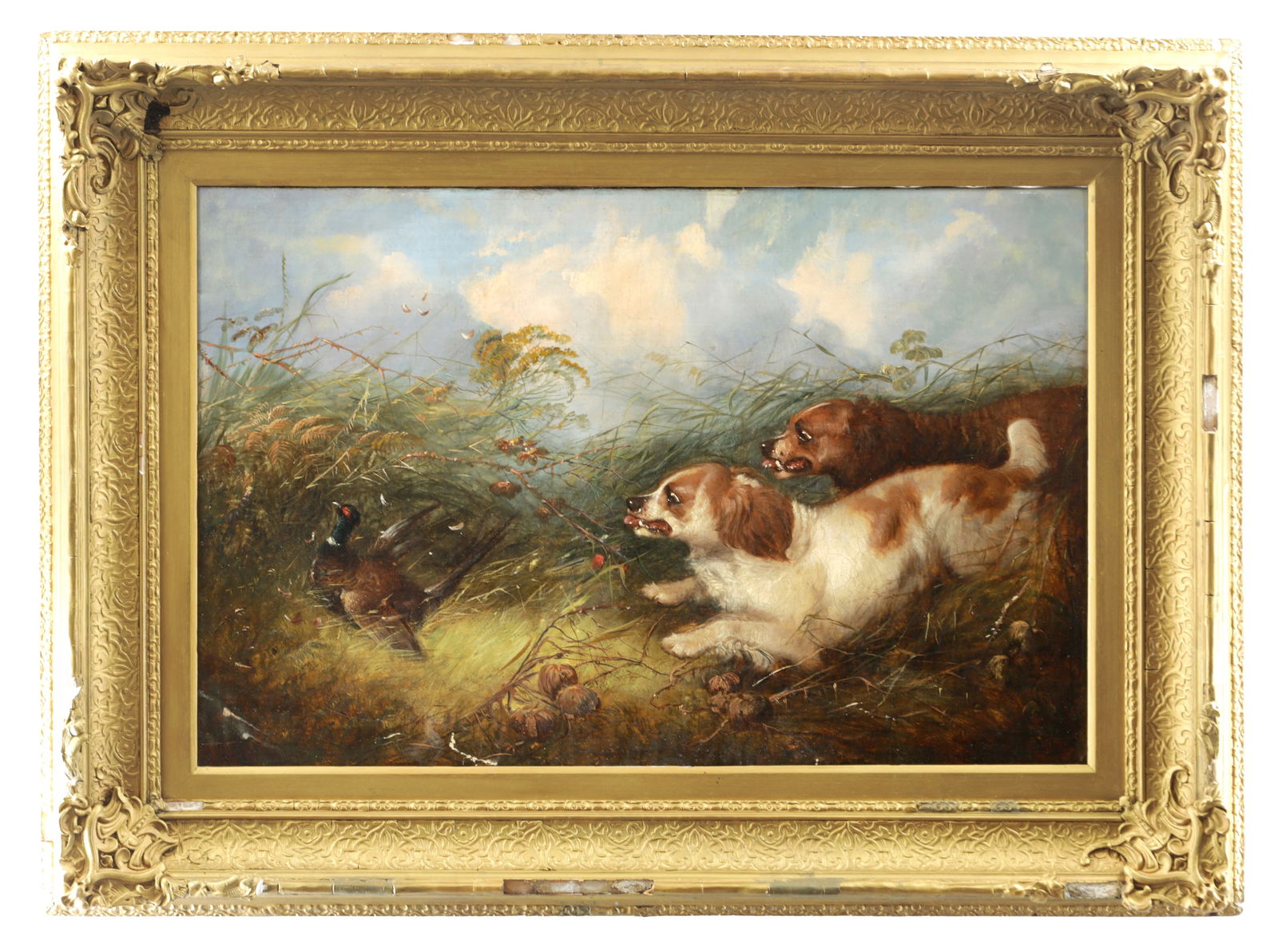 GEORGE ARMFIELD (BRITISH 1808-1893) A 19TH CENTURY OIL ON CANVAS: GEORGE ARMFIELD (BRITISH 1808-1893) A 19TH CENTURY OIL ON CANVAS depicting spaniels in the undergrowth putting up a pheasant, mounted in a gilt frame. (60cm high and 92cm wide)