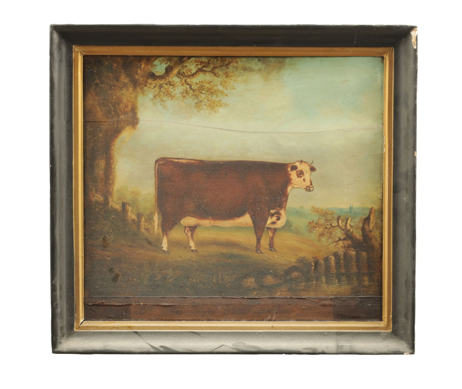AN EARLY 19TH CENTURY ENGLISH PROVINCIAL SCHOOL OIL ON BOARD: AN EARLY 19TH CENTURY ENGLISH PROVINCIAL SCHOOL OIL ON BOARD depicting a prize-winning Longhorn cow - unsigned. (56 cm high and 62 cm wide)