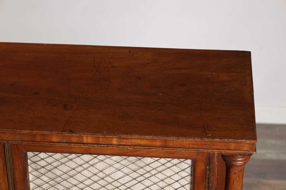 A REGENCY MAHOGANY SIDE CABINET WITH TRELLIS GRILLE DOORS - 5