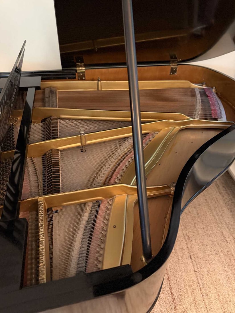 AN EARLY 20TH CENTURY GERMAN EBONISED BABY GRAND PIANO BY SCHEIDMAYER - 8