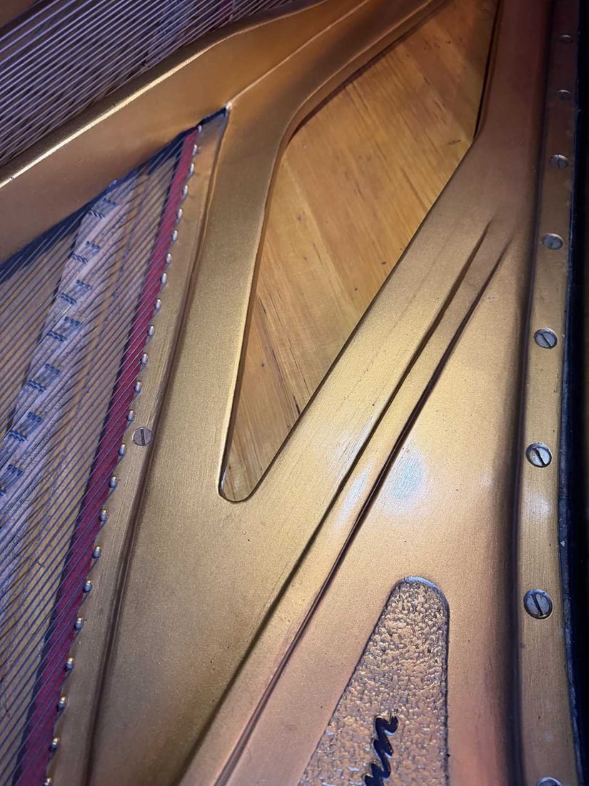A DANEMANN & CO LONDON CONCERT GRAND PIANO - 7