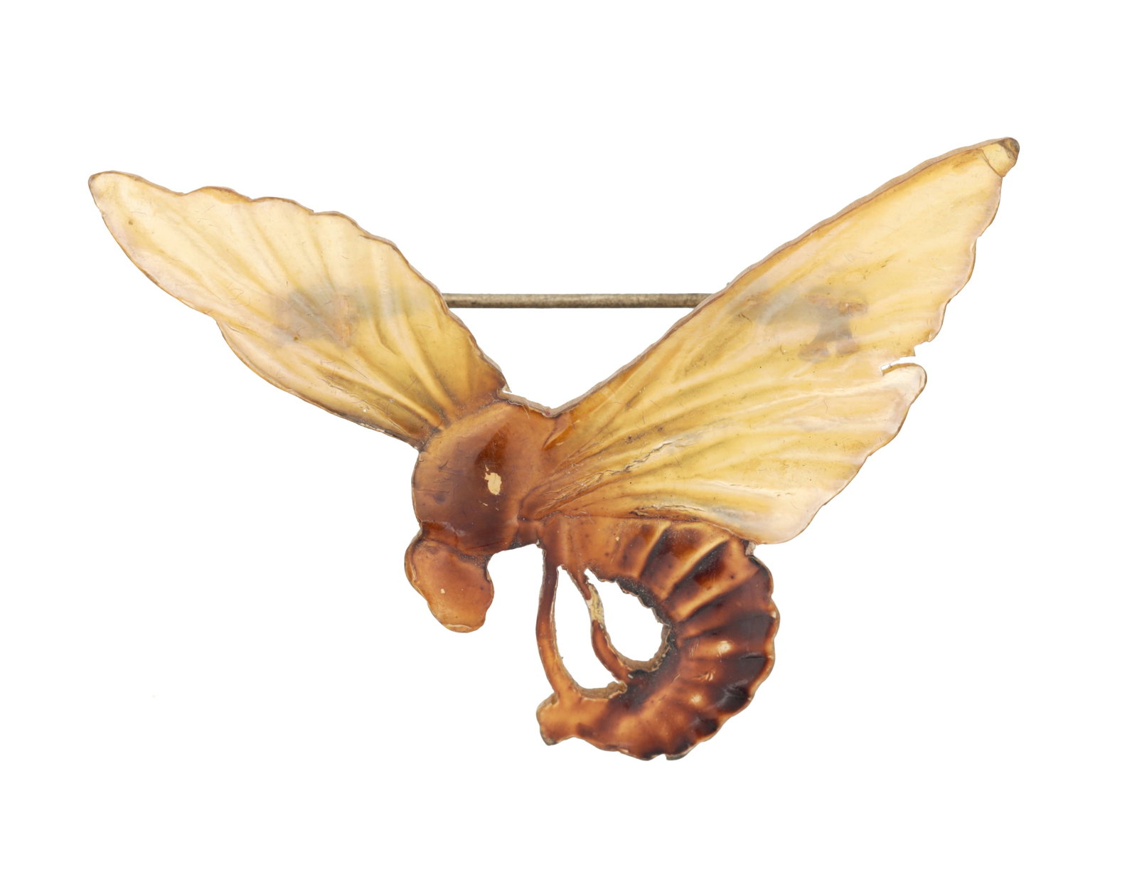 AN ART NOUVEAU PRESSED HORN BROOCH IN THE FORM OF A BEE (1 of 2)