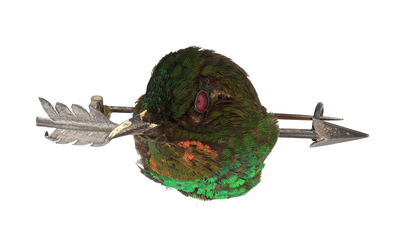 A LATE 19TH CENTURY SILVER MOUNTED TAXIDERMY HUMMINGBIRD BROOCH (1 of 3)