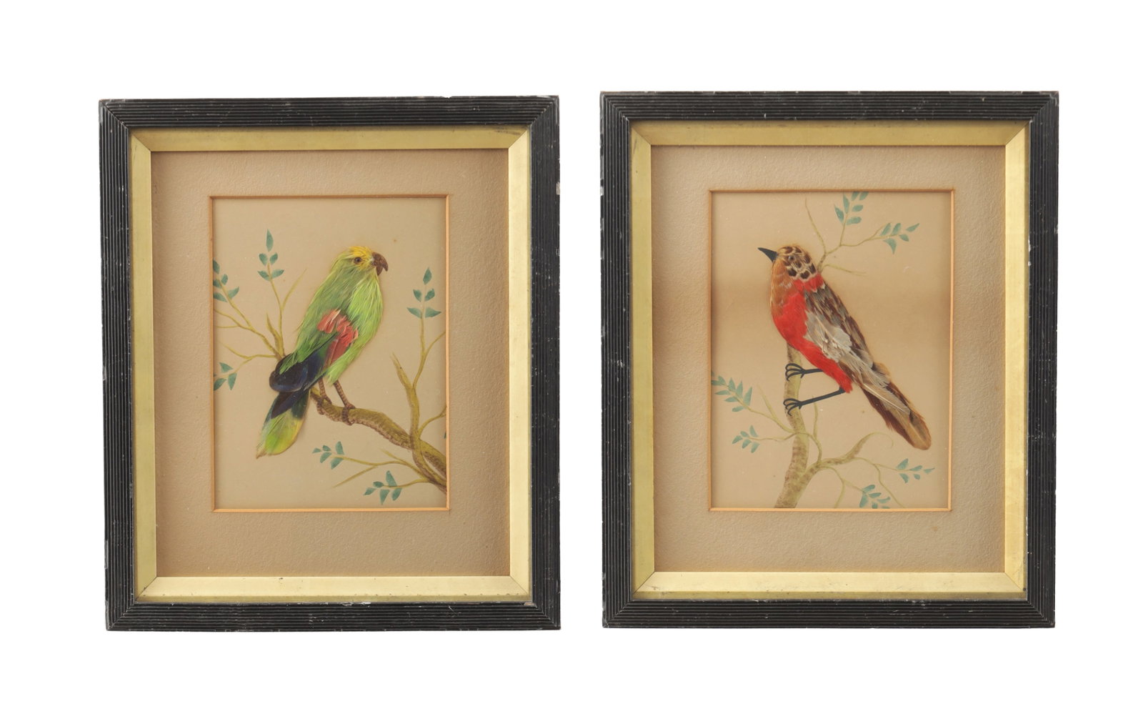 A PAIR OF VICTORIAN FEATHER PICTURES: A PAIR OF VICTORIAN FEATHER PICTURES each depicting a bird perched on a branch composed from coloured feathers against a painted background of foliage, mounted within glazed frames. (20cm high and 15c