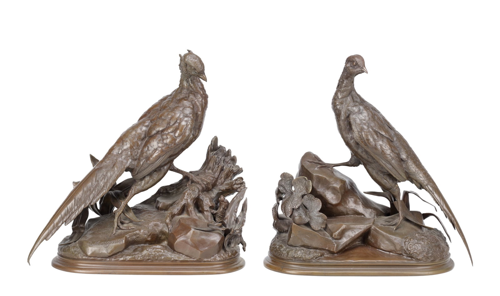 JULES MOIGNIEZ A PAIR OF FRENCH PATINATED BRONZE PHEASANTS: JULES MOIGNIEZ A PAIR OF FRENCH PATINATED BRONZE PHEASANTS each naturalistically modelled standing on rocky bases with foliage, signed J. Moigniez to base, one with an otter concealed among the