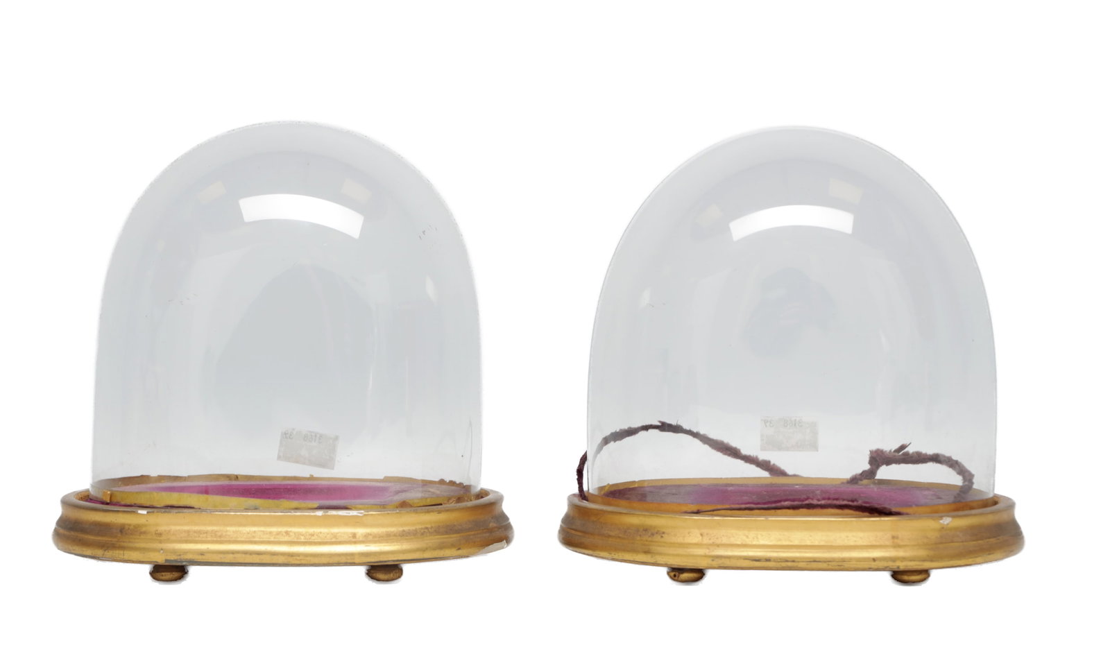 A PAIR OF 19TH CENTURY GLASS DISPLAY DOMES ON GILTWOOD STANDS: A PAIR OF 19TH CENTURY GLASS DISPLAY DOMES ON GILTWOOD STANDS of bell-shaped form, each with a circular stepped base raised on bun feet and with velvet-lined plinth. (16cm high, 17cm wide, 13cm deep)
