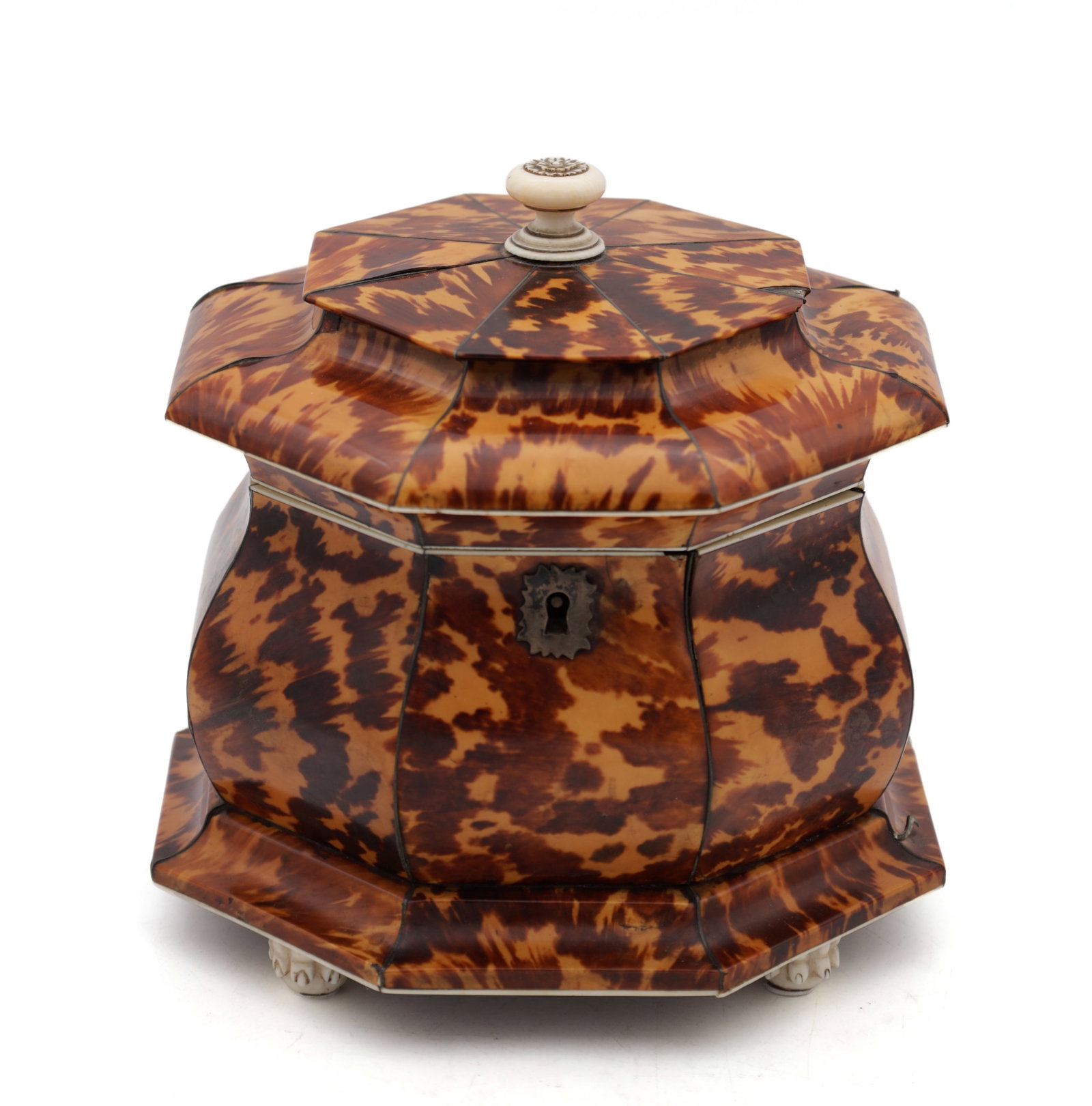 AN EARLY 19TH CENTURY TORTOISESHELL AND SILVER WIRE INLAID HEXAGONAL DOUBLE TEA CADDY (1 of 6)