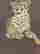 item-120026335=2