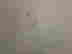 item-128956042=4