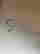 item-131548900=2