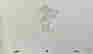 item-131549050=2