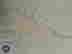 item-131549065=2