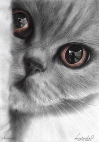 Original Drawing Art Mixed Media